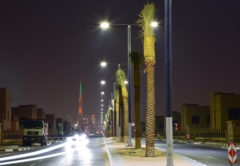 Sustainable Outdoor Lighting Solutions